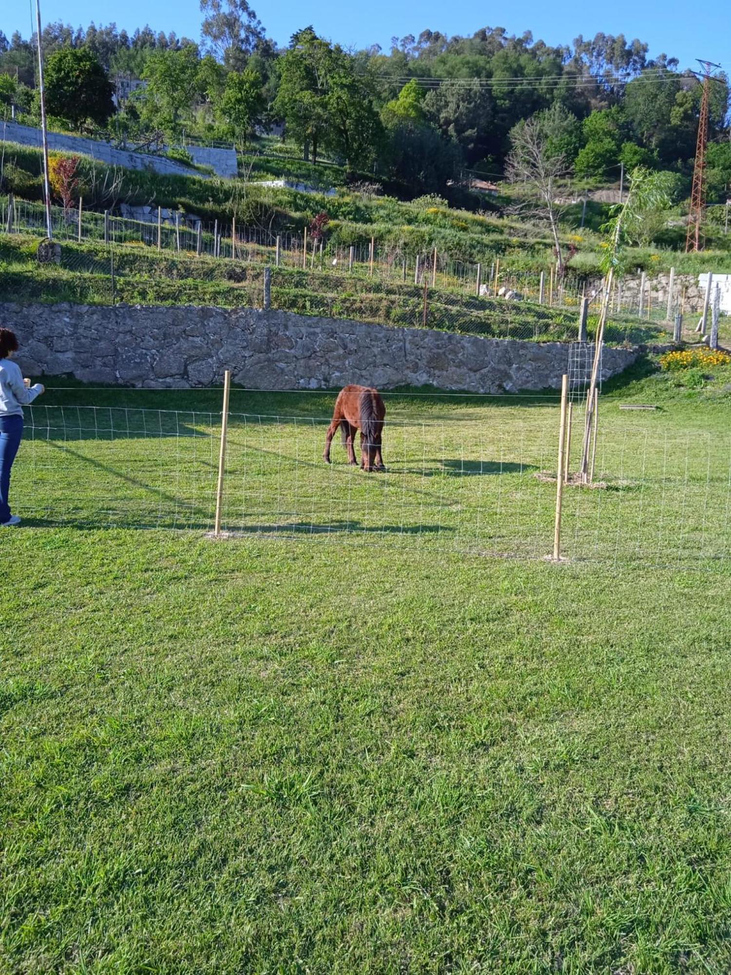 Quinta Dos Campos - Apartamento 2 Konuk evi Braga Dış mekan fotoğraf